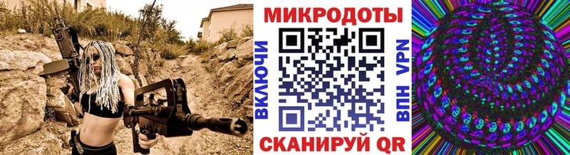 Галлюциногенные грибы Psilocybe Раменское